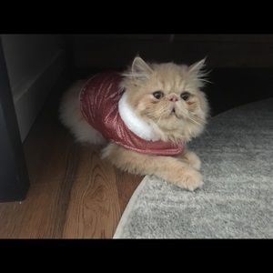 Meet your Posher, Jenny